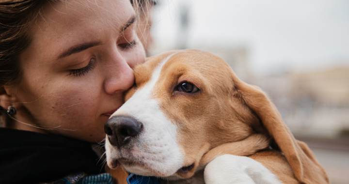 Las mejores suscripciones para mascotas: seguros para perros y gatos, alimentación y más