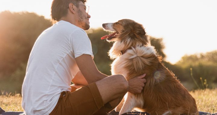 Compara precios y coberturas de seguros para mascotas por suscripción