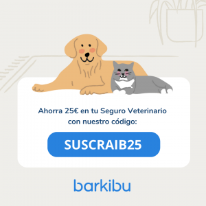 seguro barkibu